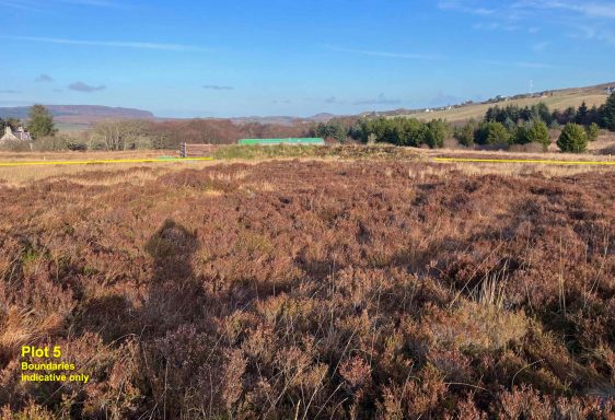 Plot 1 from the southern boundary